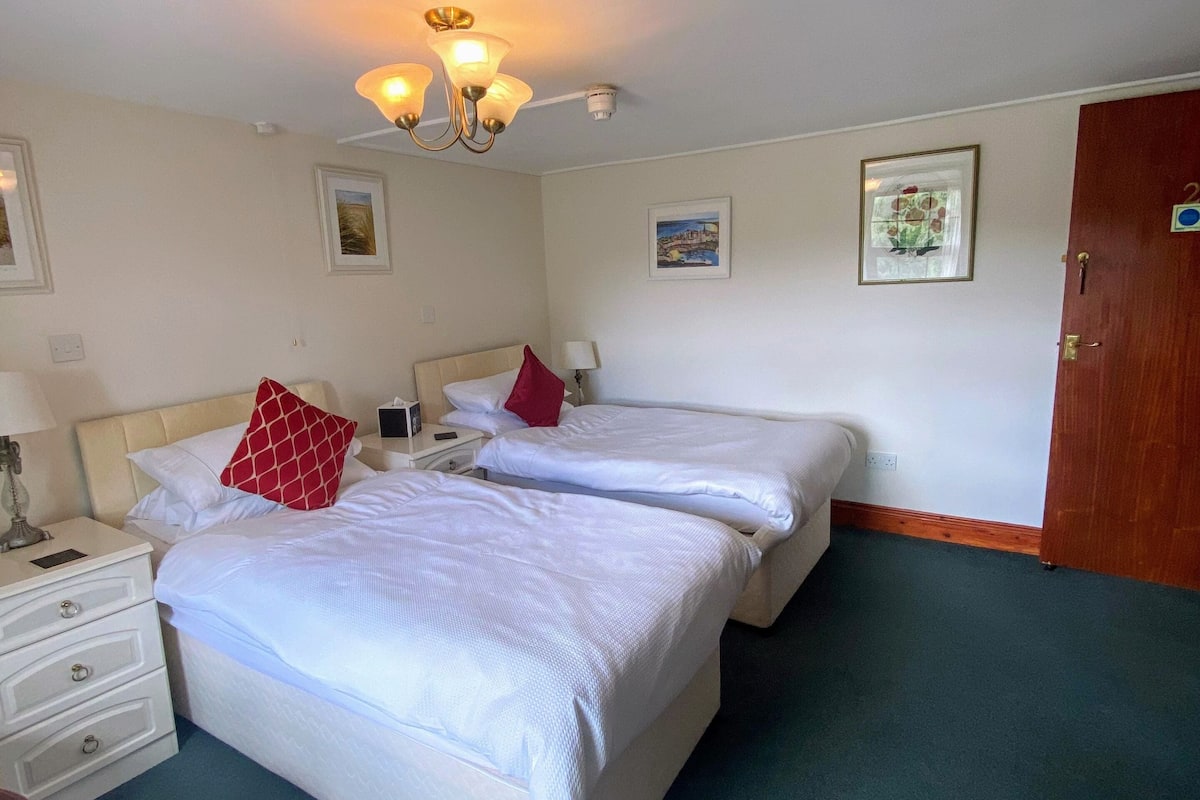 Room 2 Twin Room, River View (Dog friendly x 1 dog) | Premium bedding, individually decorated, individually furnished, desk