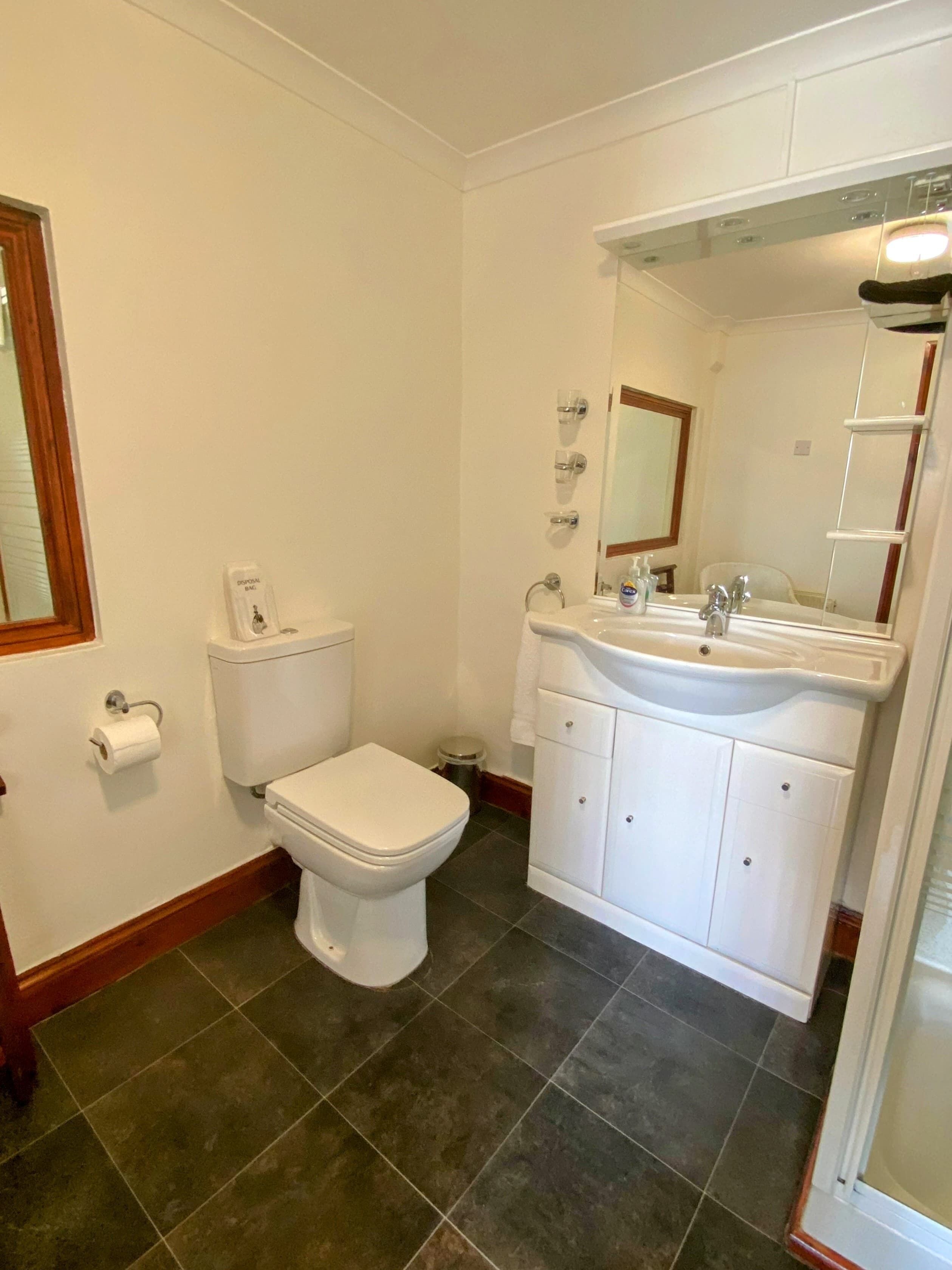 A bathroom with a toilet, sink, and mirror.