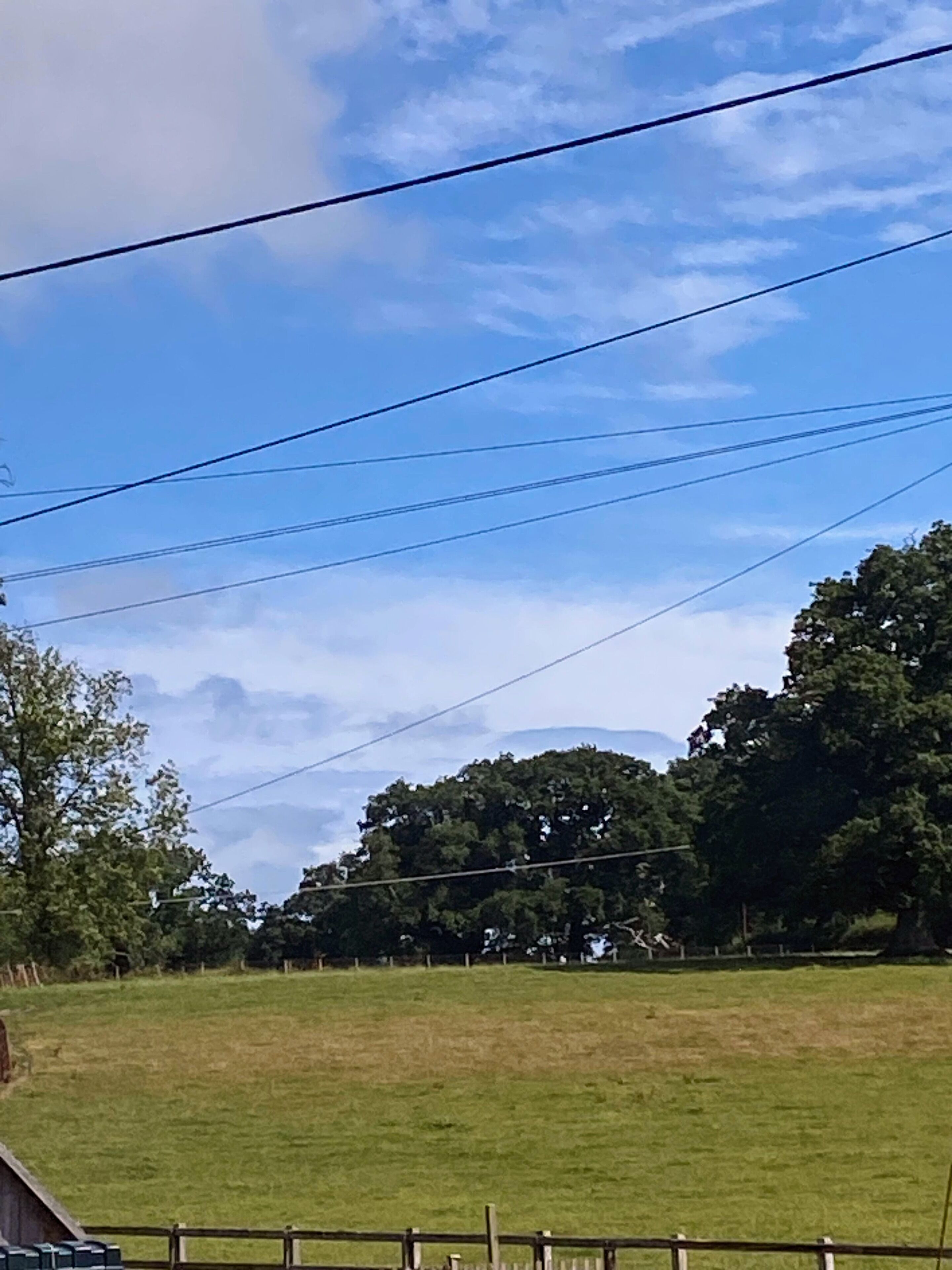 A grassy field with a wooden fence, power lines, and trees in the background.
