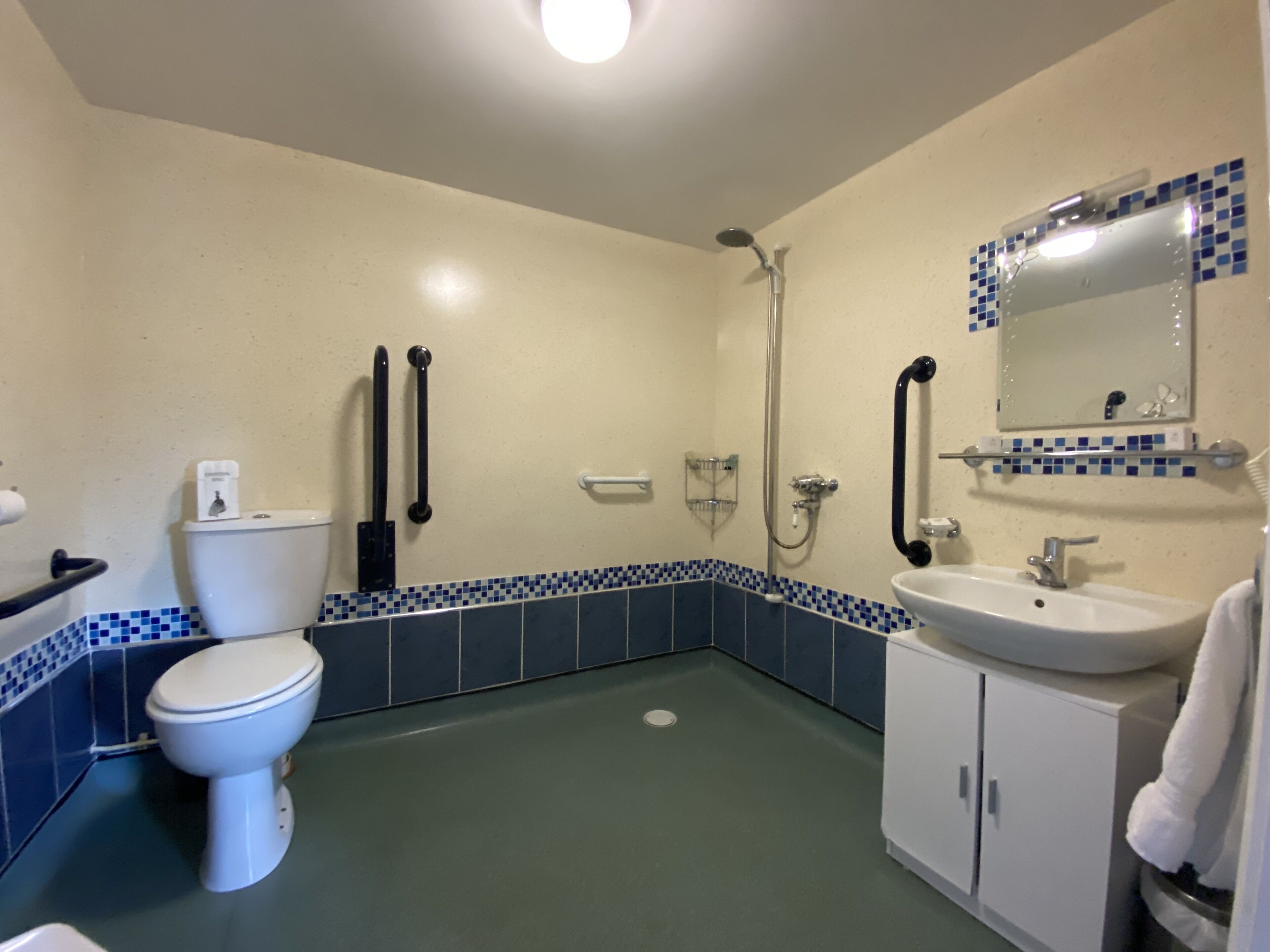 room 8 twin room, accessible (dog friendly x 1 dog) | bathroom | shower, rainfall showerhead, free toiletries, hair dryer