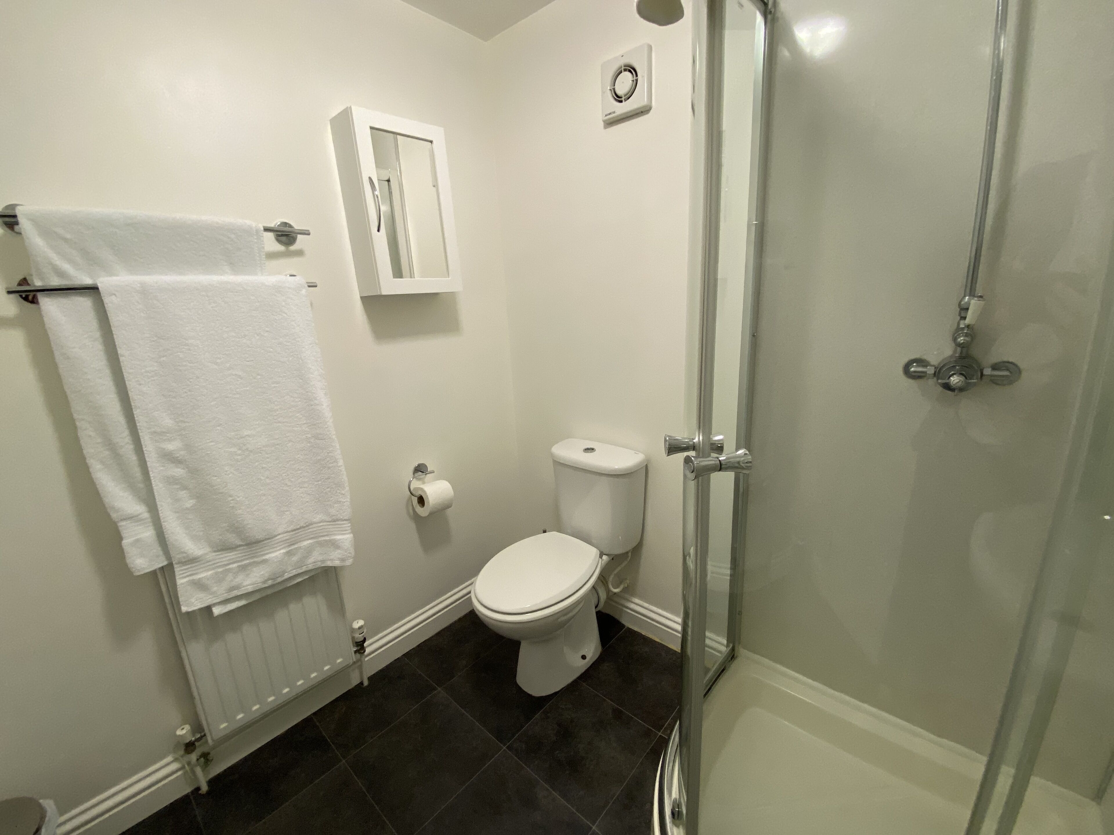 A bathroom with a toilet, a towel rack, a shower enclosure, and a radiator.