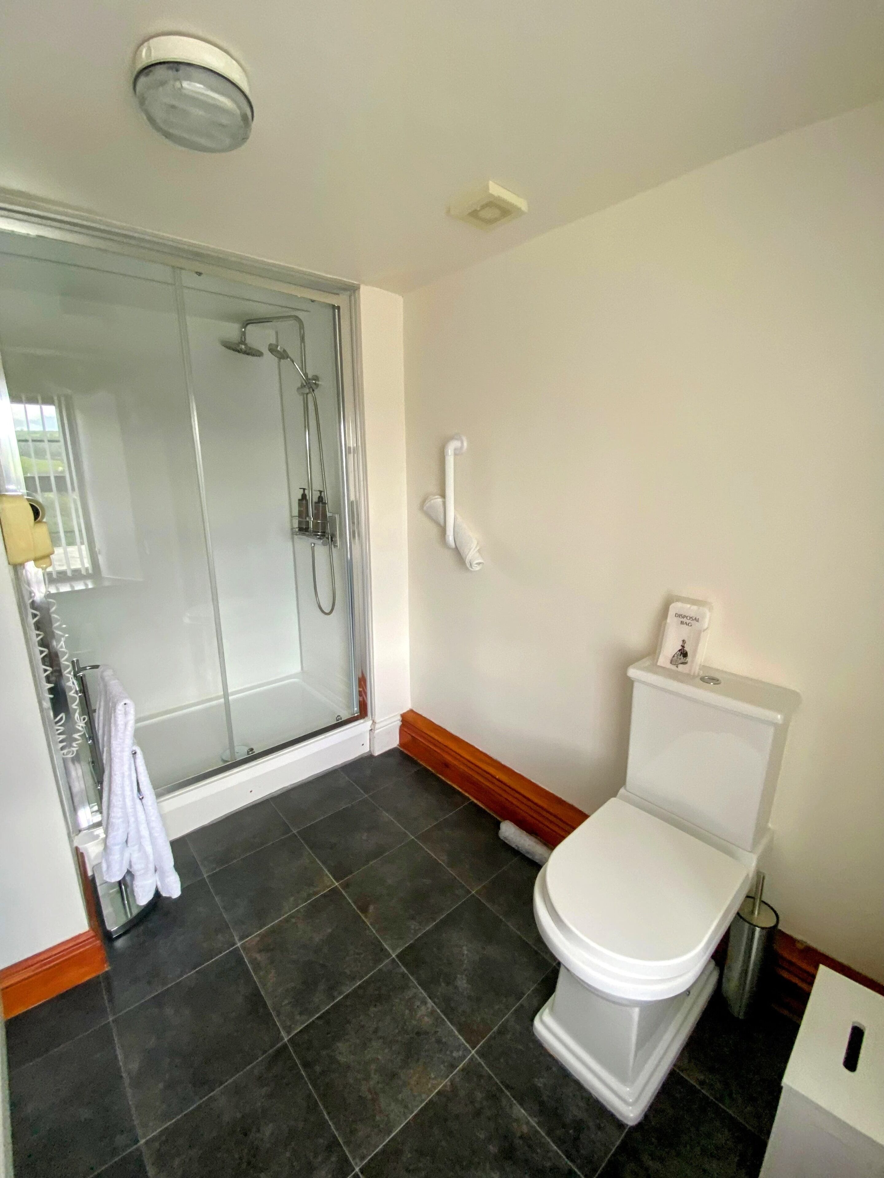 room 2 twin room, river view (dog friendly x 1 dog) | bathroom | shower, rainfall showerhead, free toiletries, hair dryer