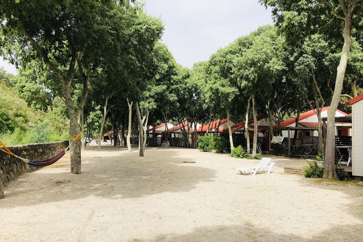 Chalet Belair Standard 6p | Utsikt mot gatan