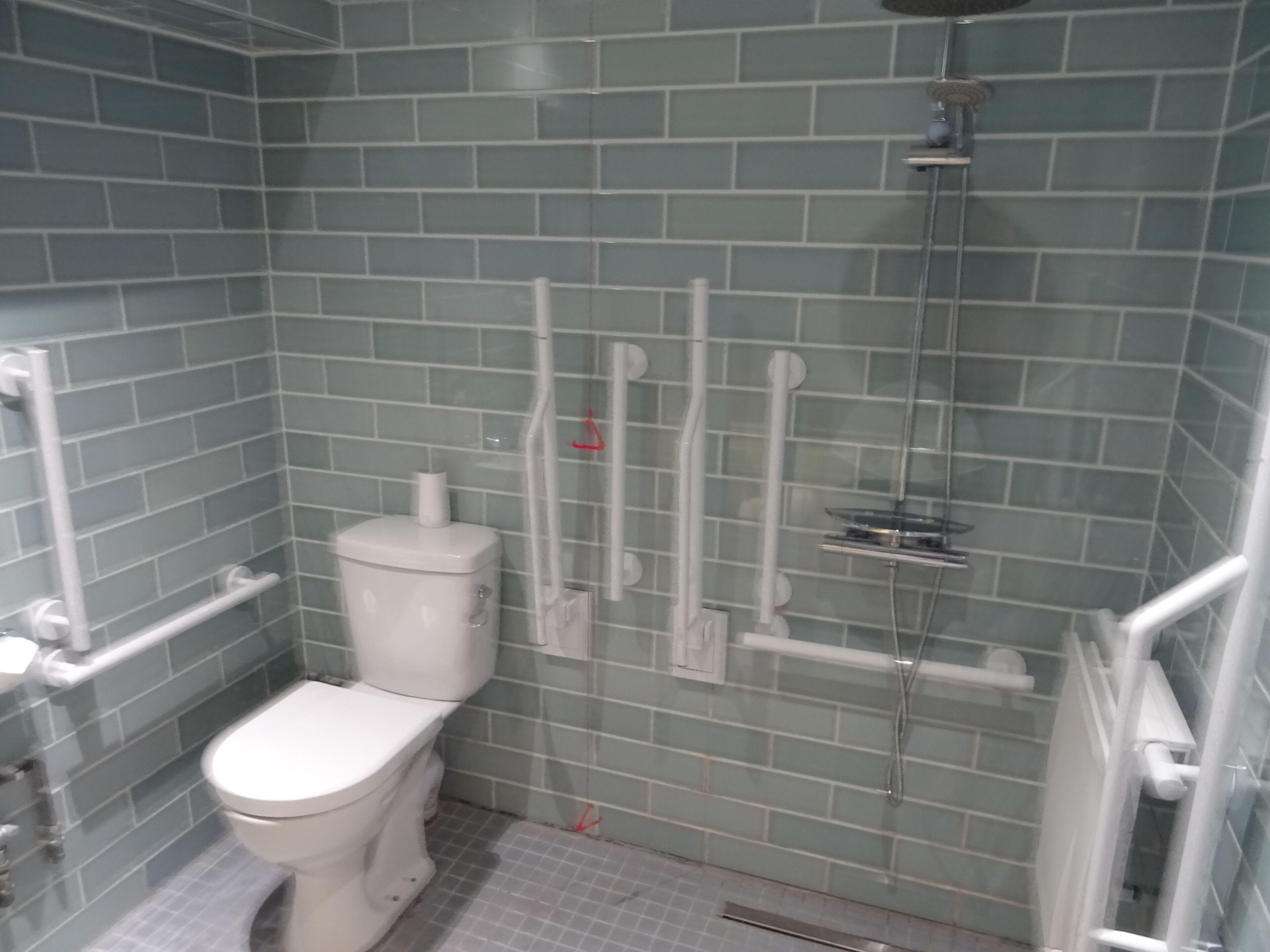 A bathroom with a toilet, a shower, and grab bars.