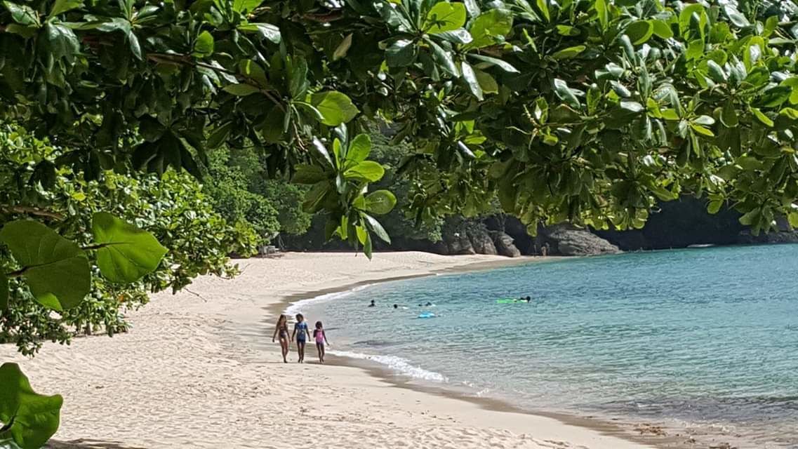 Una playa con gente caminando por la orilla, rodeada de exuberante vegetación.