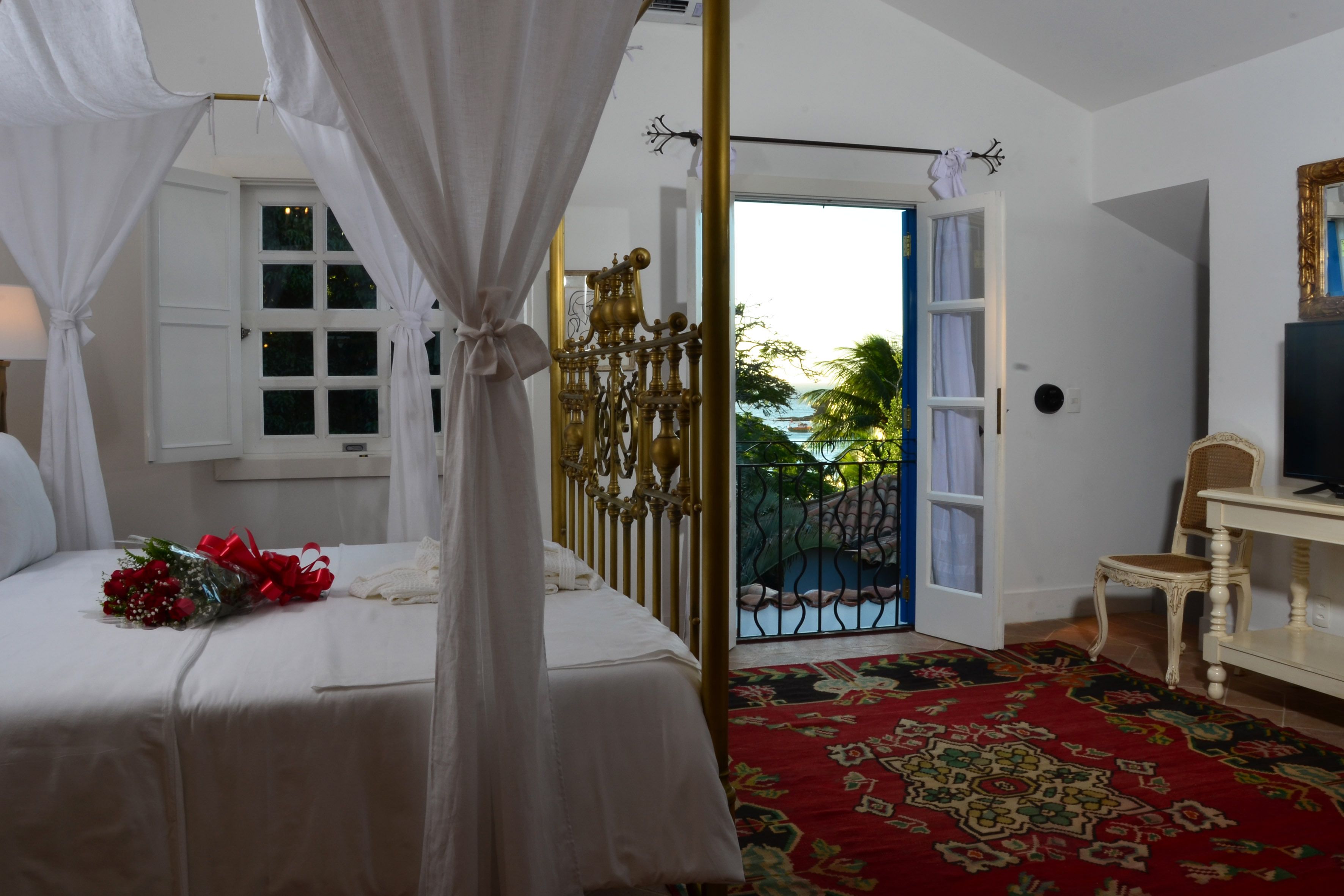 A bedroom with a bed, a canopy, a red patterned rug, a television, and a view of the outdoors.