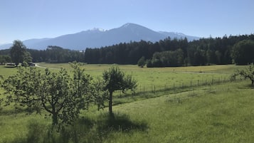 Un campo cubierto de hierba con una montaña al fondo y un árbol en primer plano.
