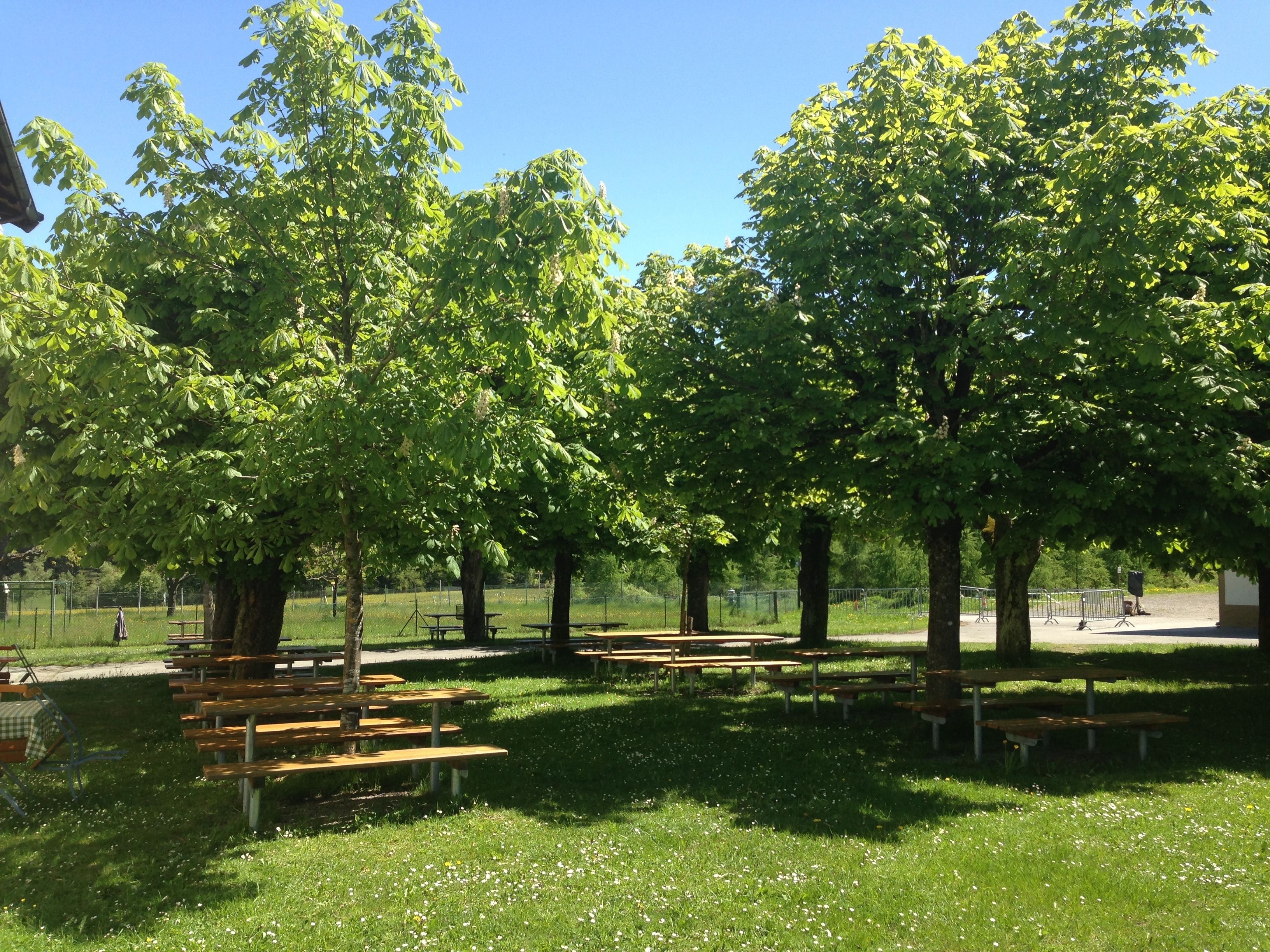 A park with picnic tables and trees.