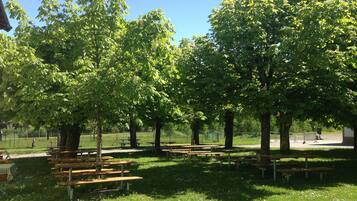 A park with picnic tables and trees.