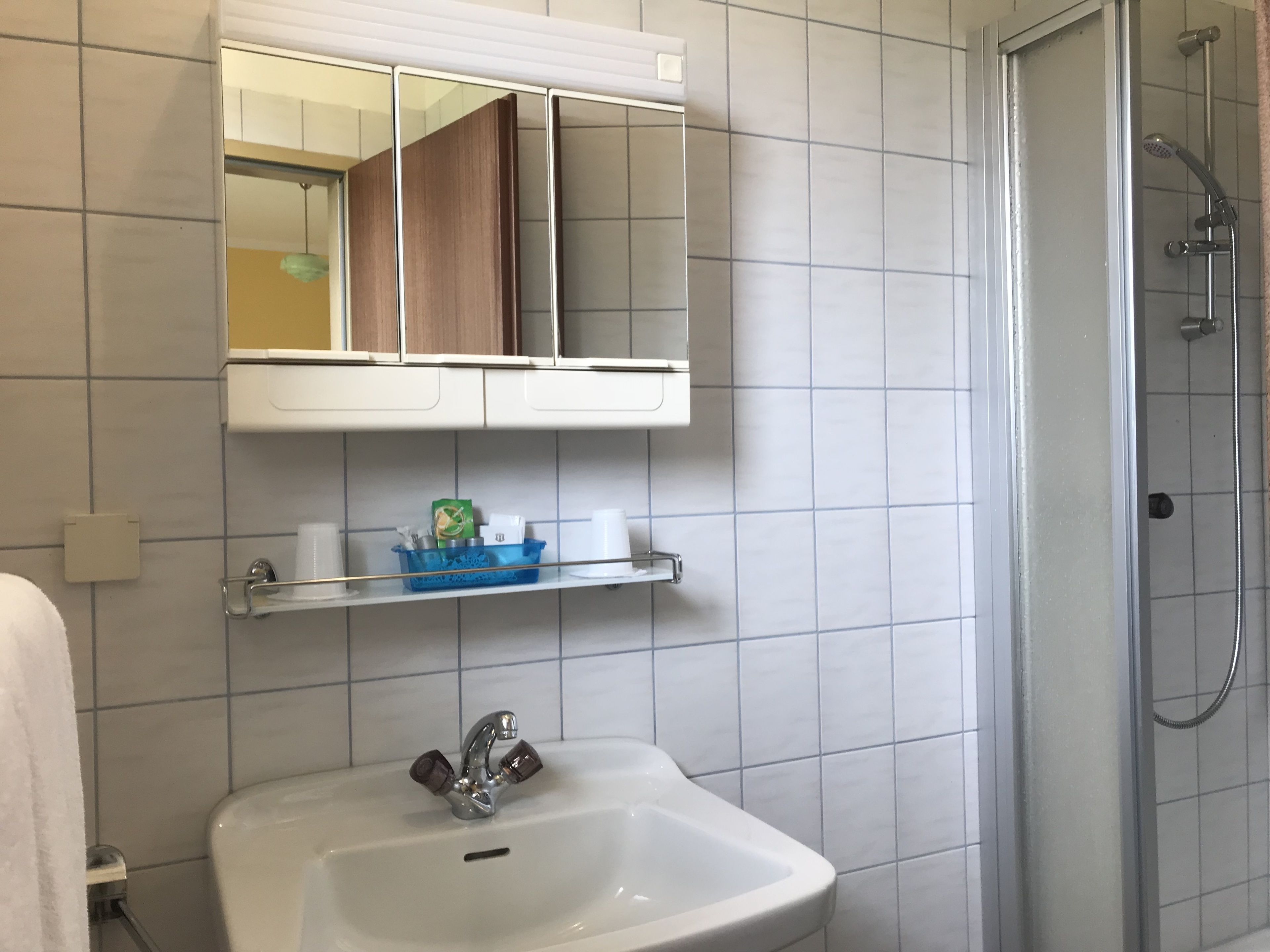 A bathroom with a white sink, a mirror above it, and a shower area to the right.