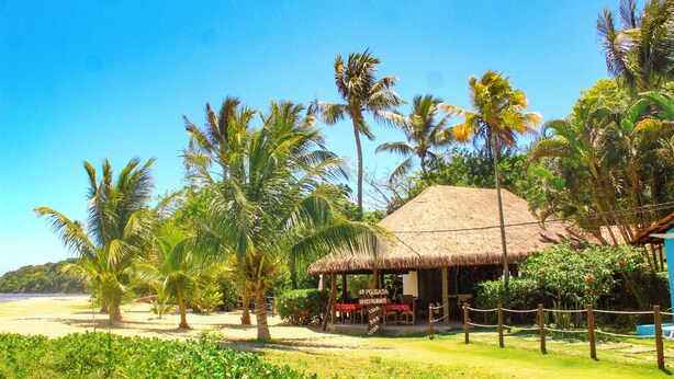 Un restaurante junto a la playa con techo de paja, rodeado de palmeras y una playa de arena.