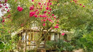 Una casa de madera rústica rodeada de exuberante follaje y vibrantes flores rosadas.