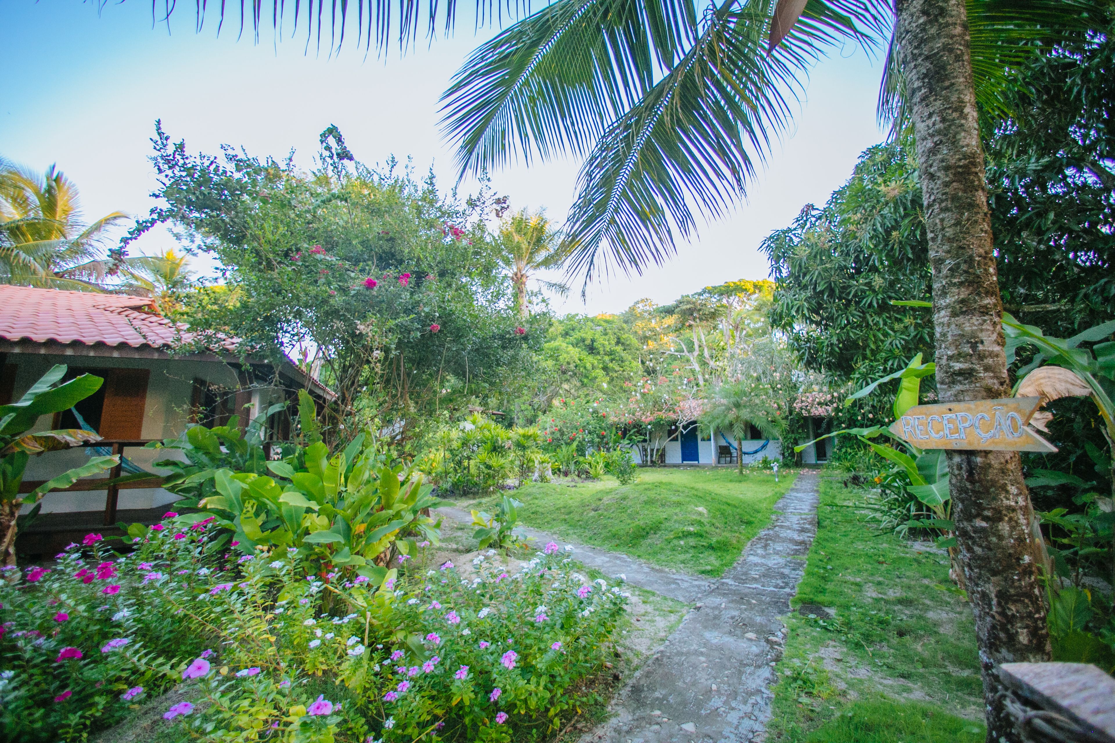 A lush garden with a pathway leading to a building with a red roof.