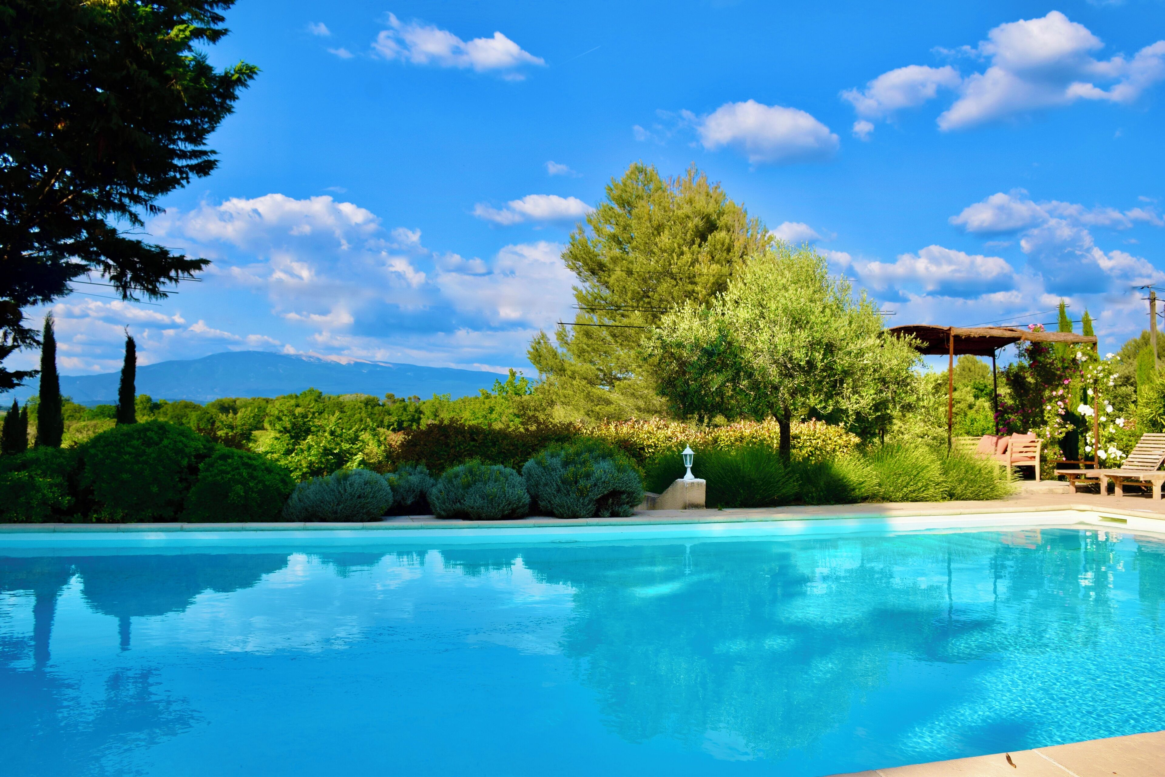 Outdoor pool, sun loungers