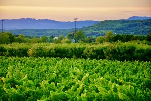 View from property - Bastide Saint Didier (Saint-Didier)