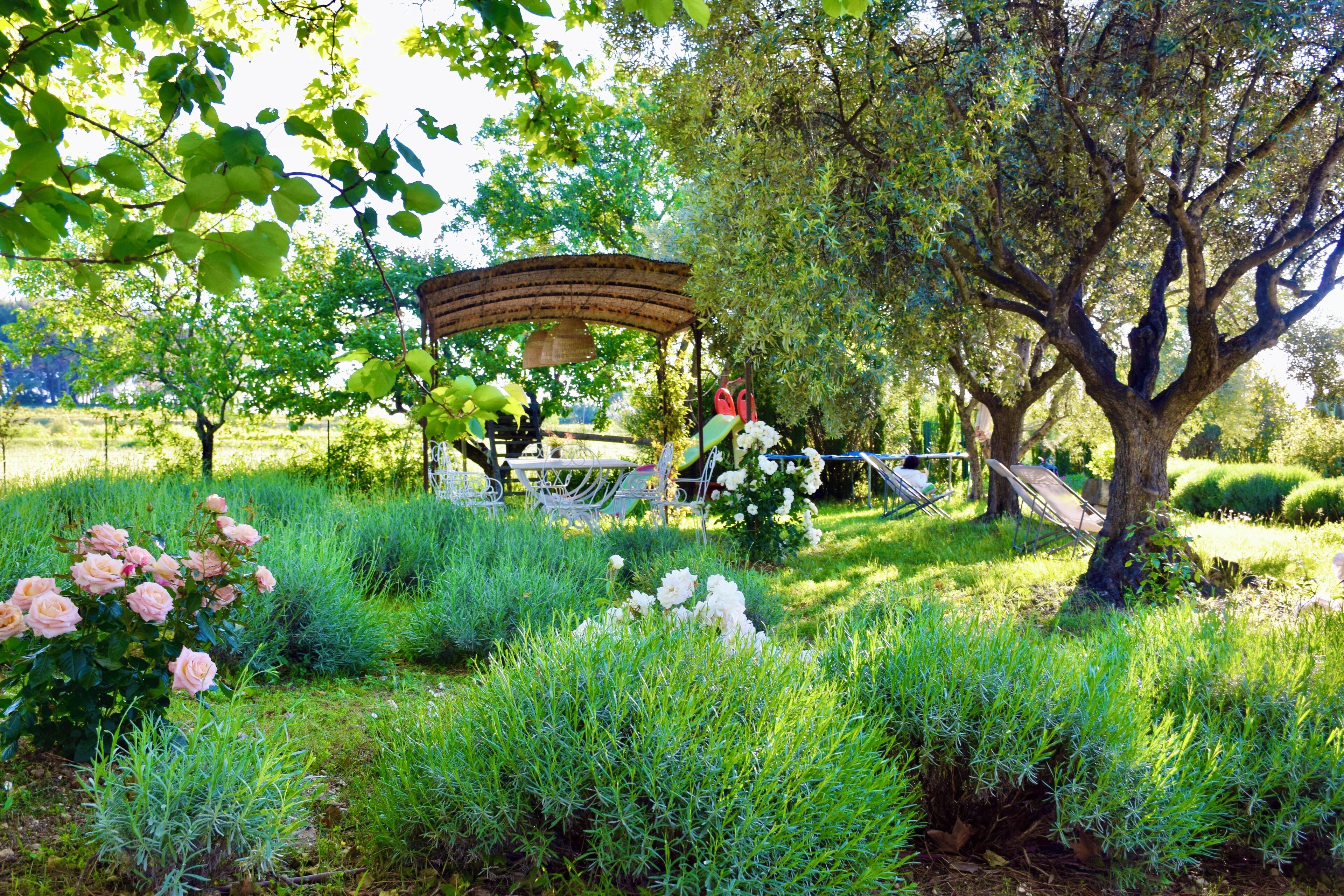 A garden with a gazebo, lush greenery, and a variety of plants.