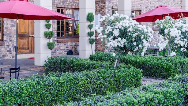 A brick building with white columns, red umbrellas, and white flowering bushes. - Alveston Manor (Middelburg)