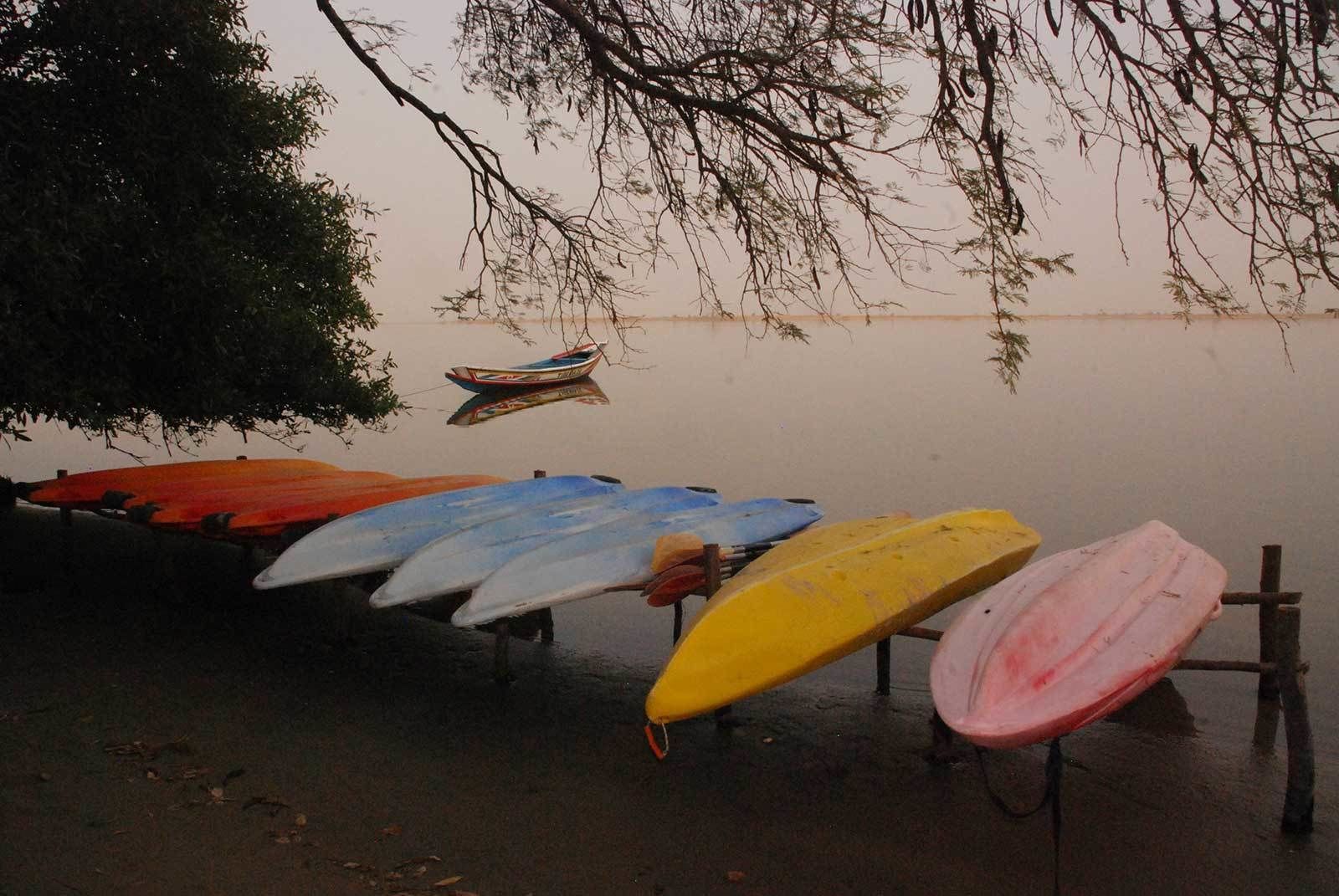 Várias pranchas de surf encostadas em uma parede, perto da água.