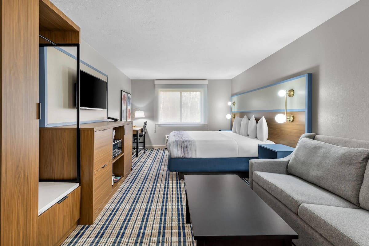 A hotel room with a bed, a sofa, a desk, a TV, and a wardrobe.