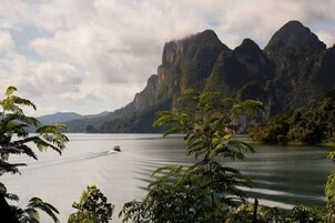 Vista desde la propiedad