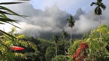 วิวจากที่พัก