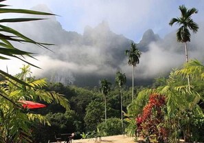 Vista desde la propiedad