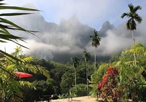 Vista desde la propiedad