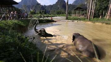 Game viewing