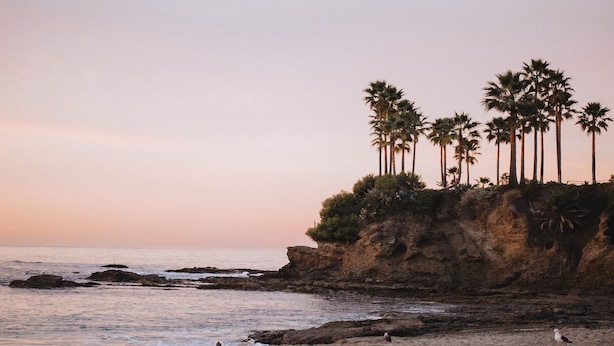 A beach with palm trees and rocky cliffs. - Hotel Joaquin (Laguna Beach)