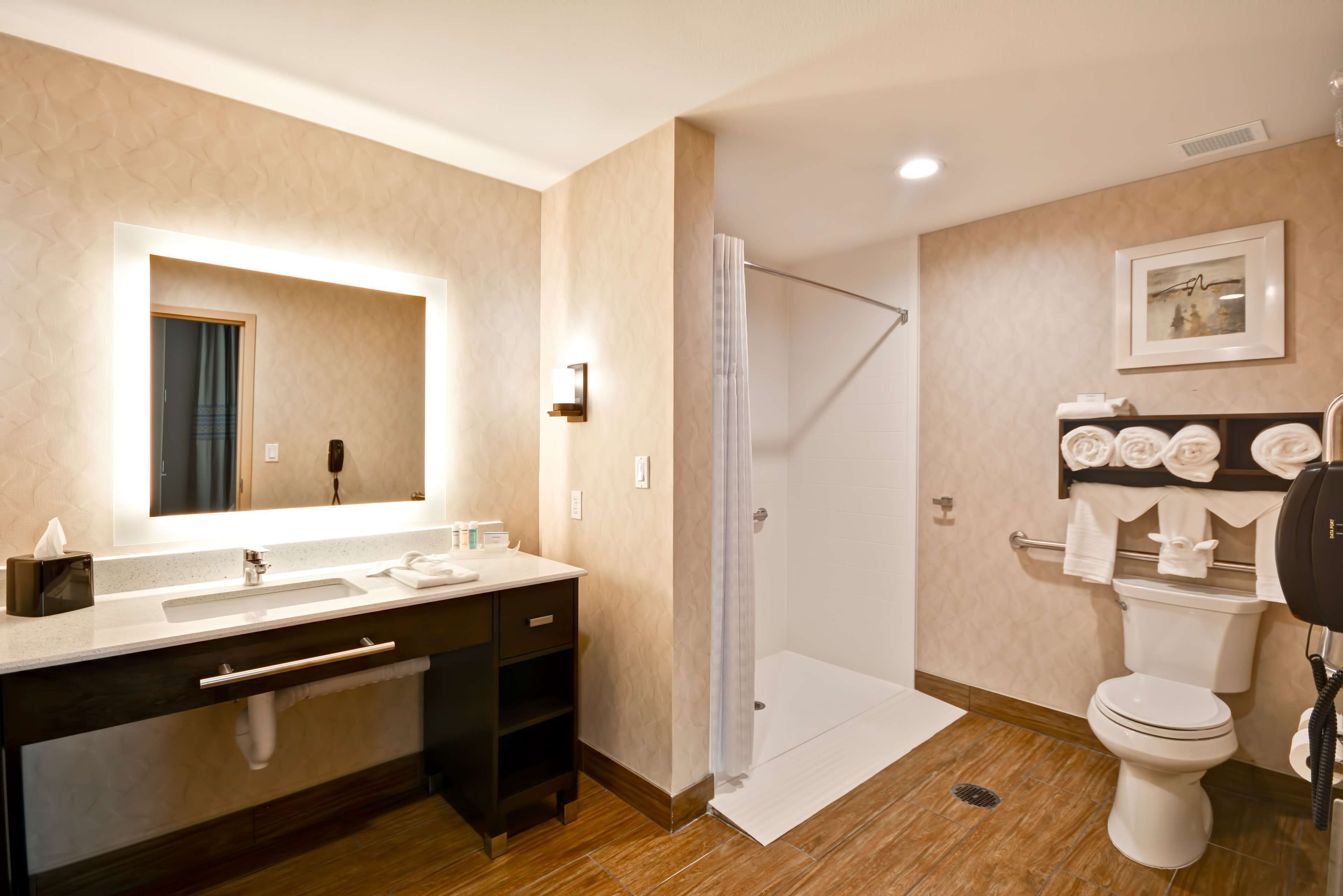 studio suite, 1 king bed, accessible, non smoking (w/ roll-in shower) | bathroom shower