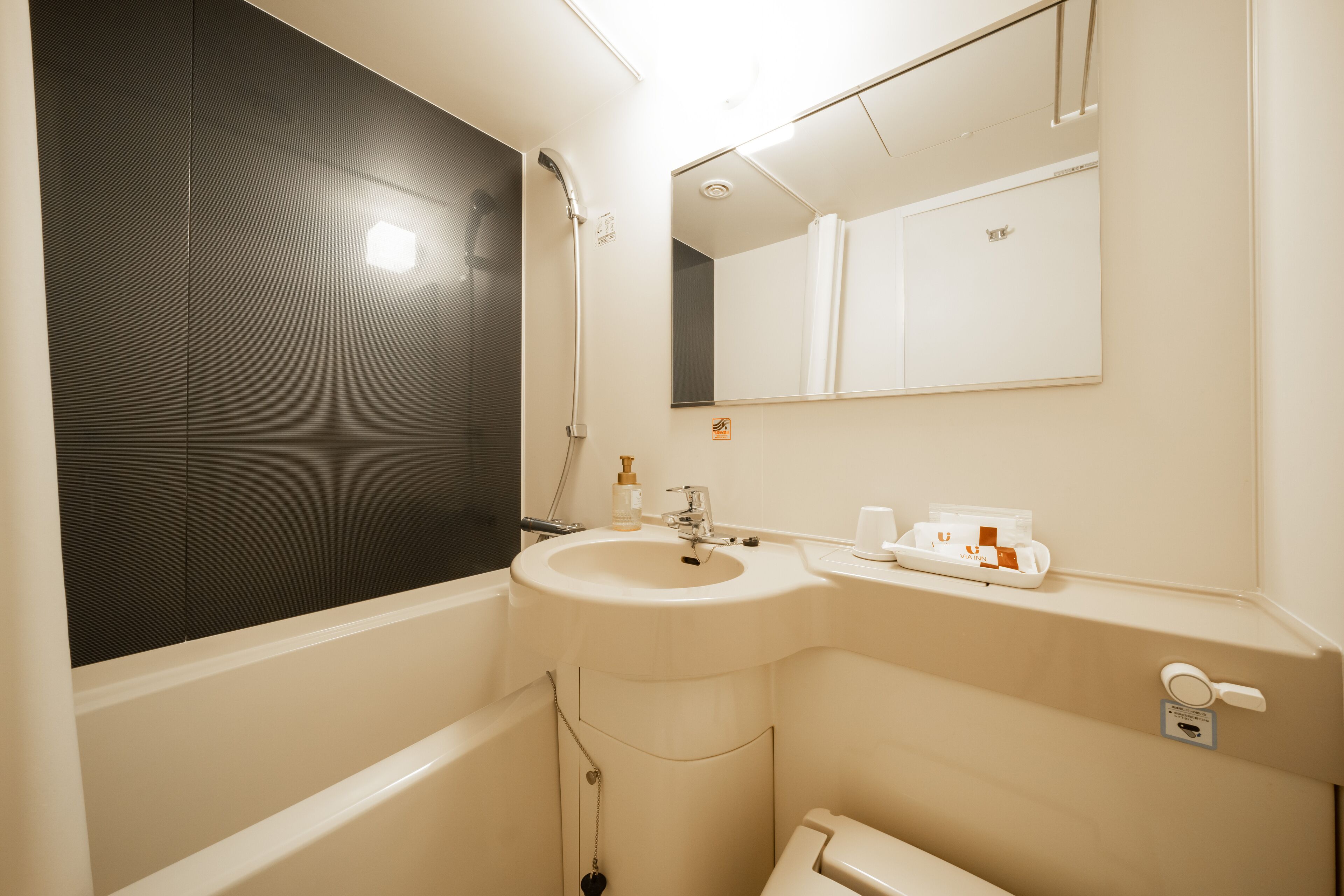 combined shower/bathtub, deep-soaking bathtub, free toiletries