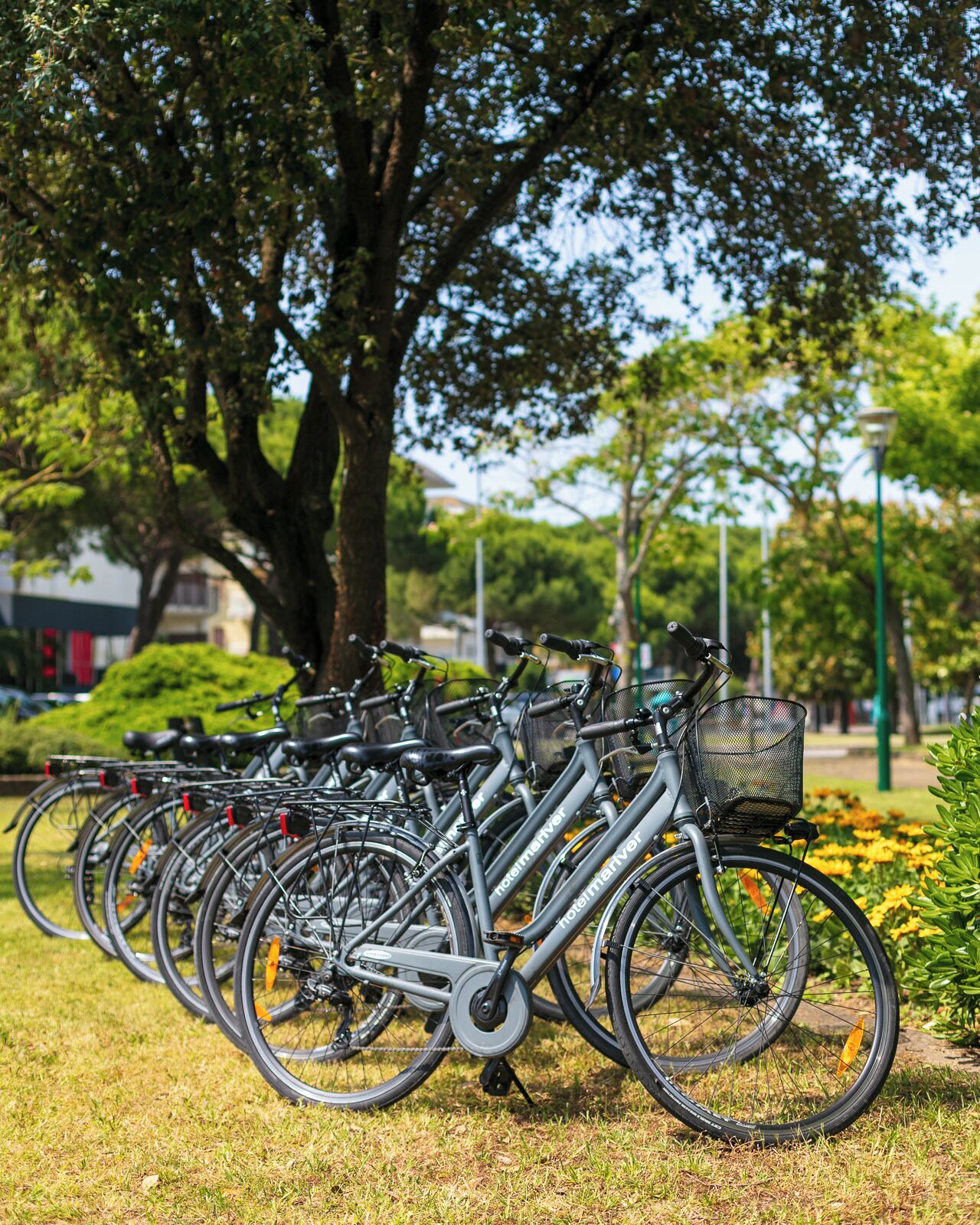 Foto - Hotel Mariver