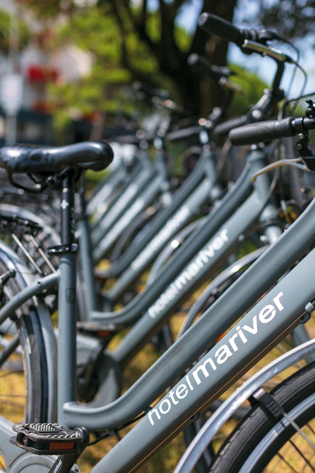 Foto - Hotel Mariver