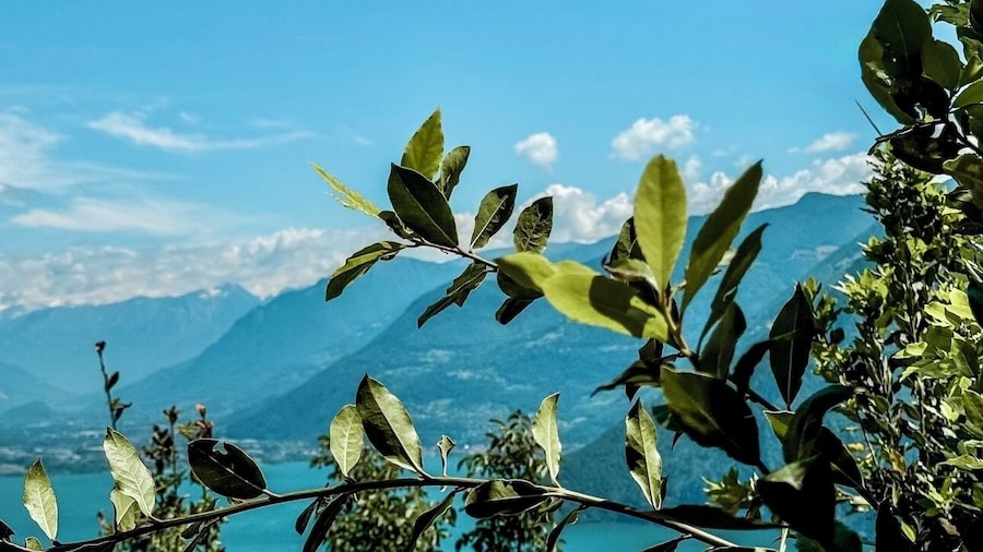 Esprit D'Hotel Panoramico