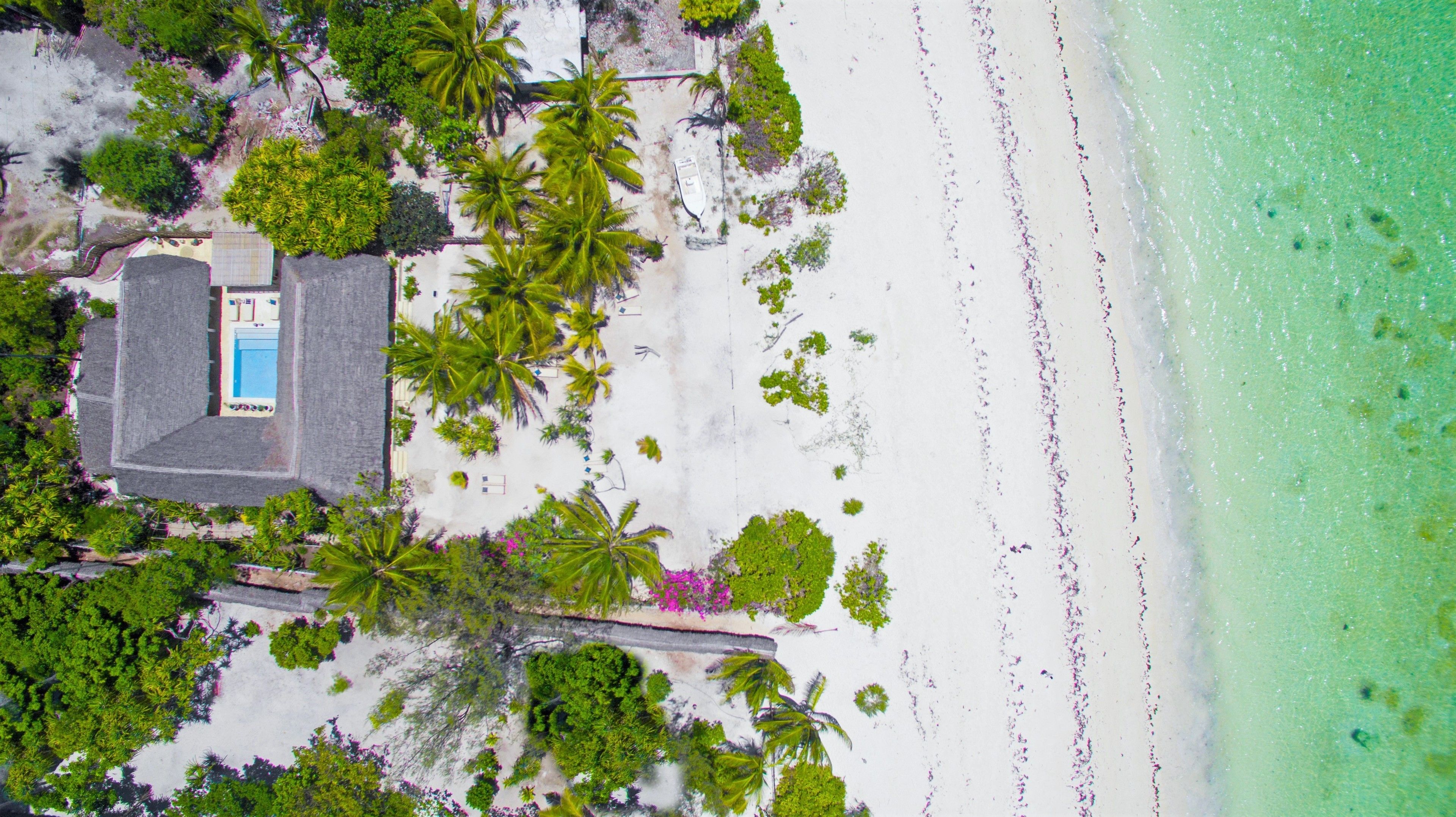 An aerial view of a beachside property with a swimming pool, palm trees, and a clear turquoise sea.