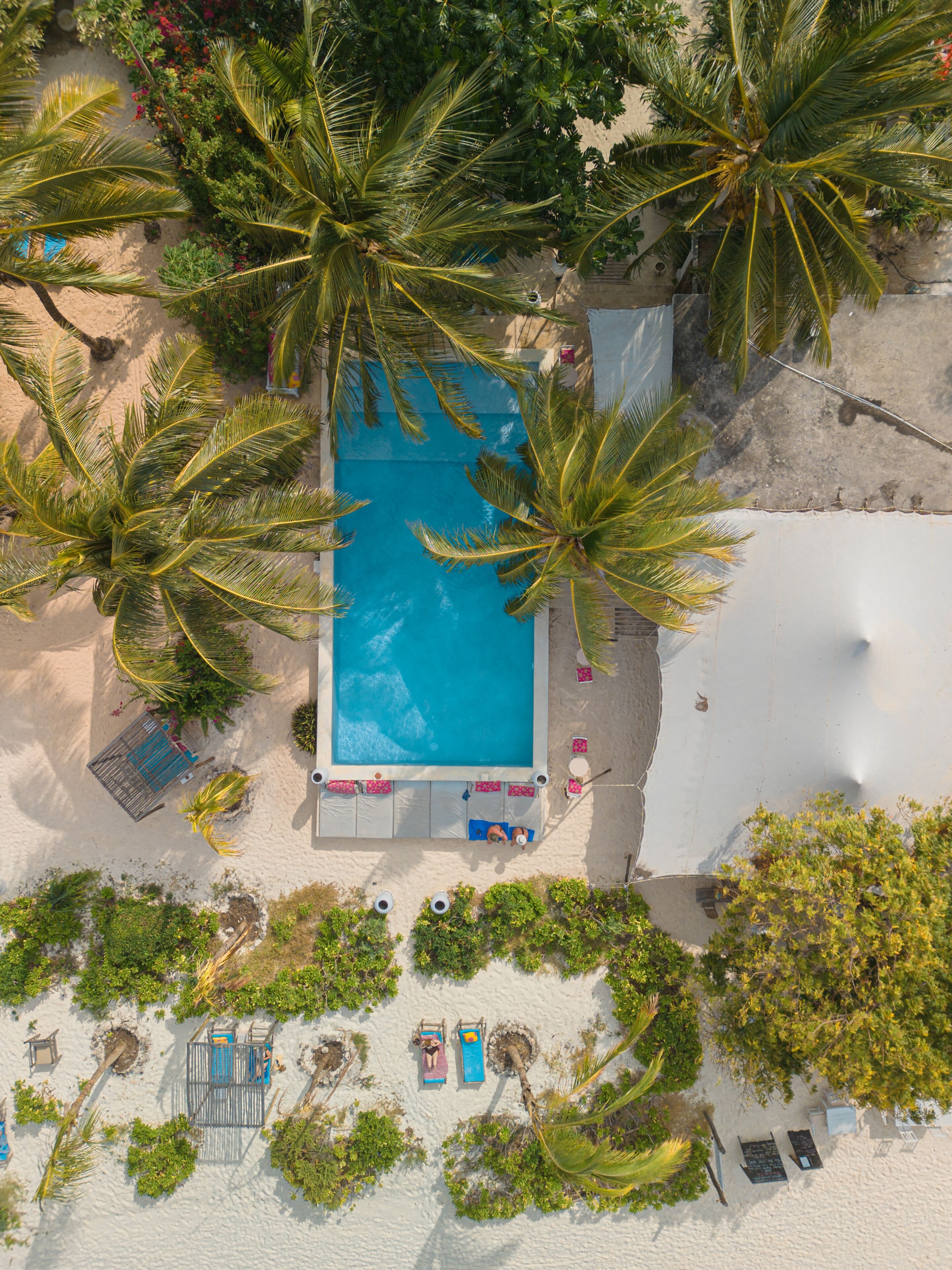 An aerial view of a resort with a central swimming pool surrounded by palm trees, beach chairs, and a sandy beach area.