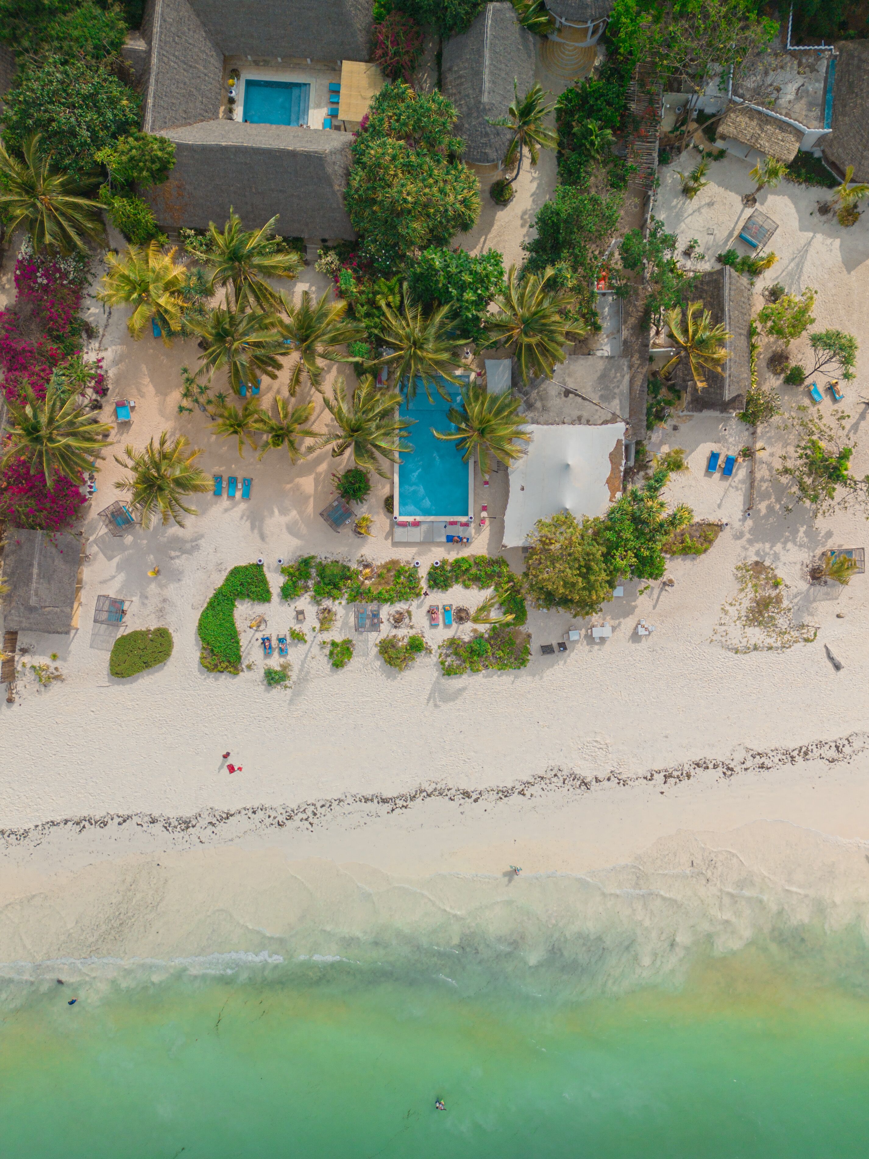 An aerial view of a beachside property with a swimming pool, palm trees, and beach chairs.