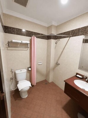 Un baño con inodoro, ducha y lavamanos.