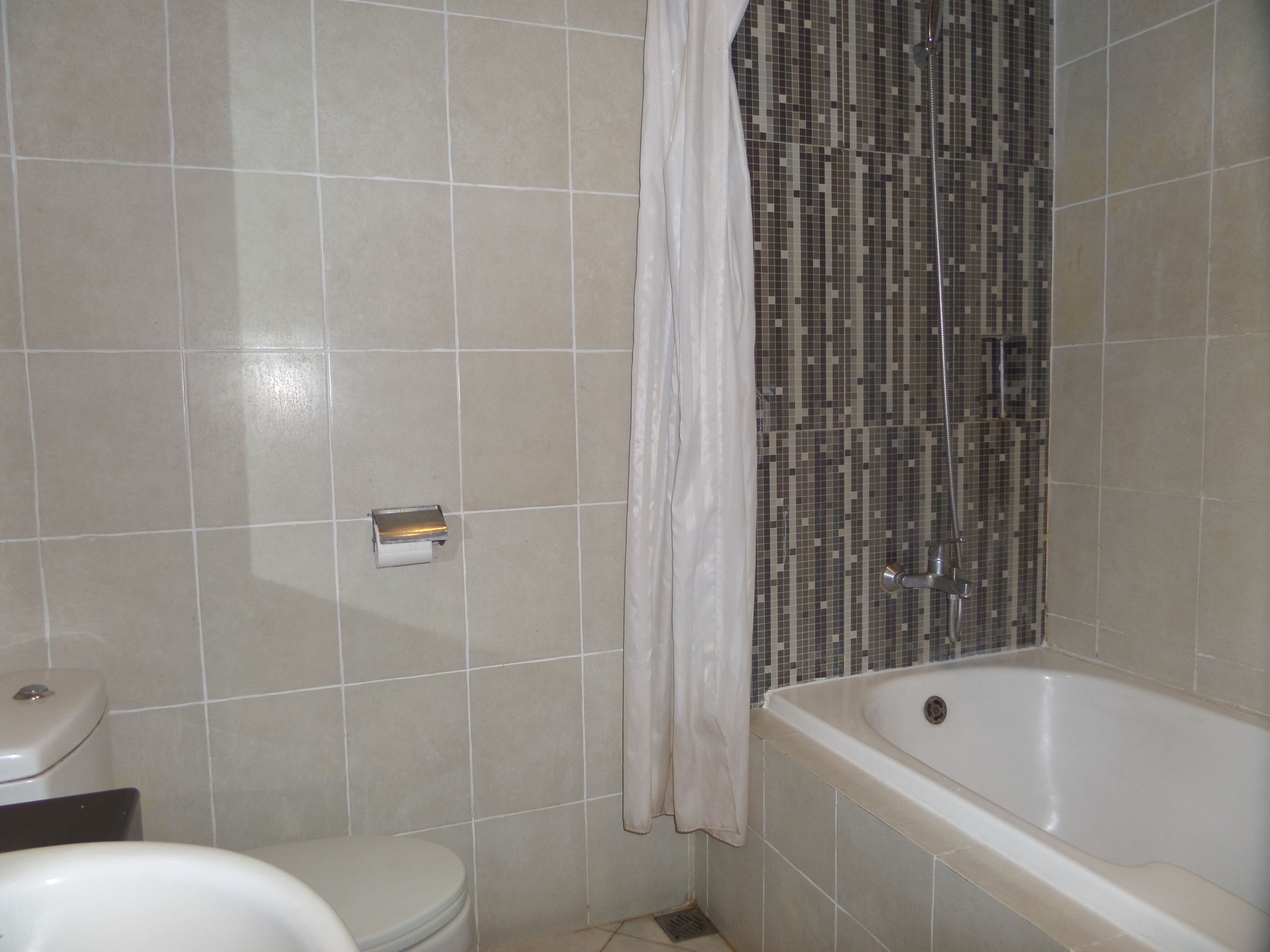 A bathroom with a toilet, a shower with a tiled wall, and a bathtub.