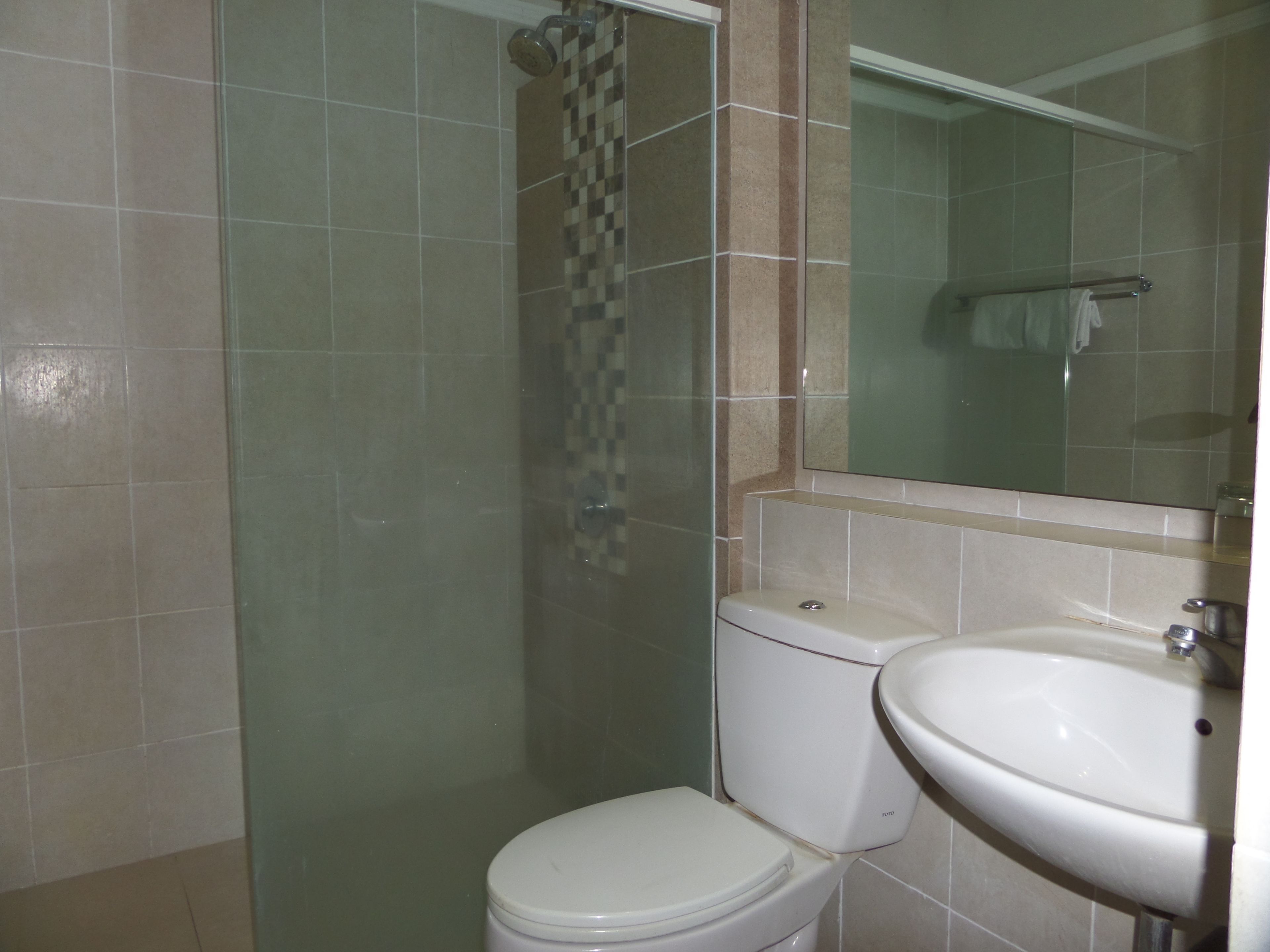 A bathroom with a toilet, a sink, and a shower.