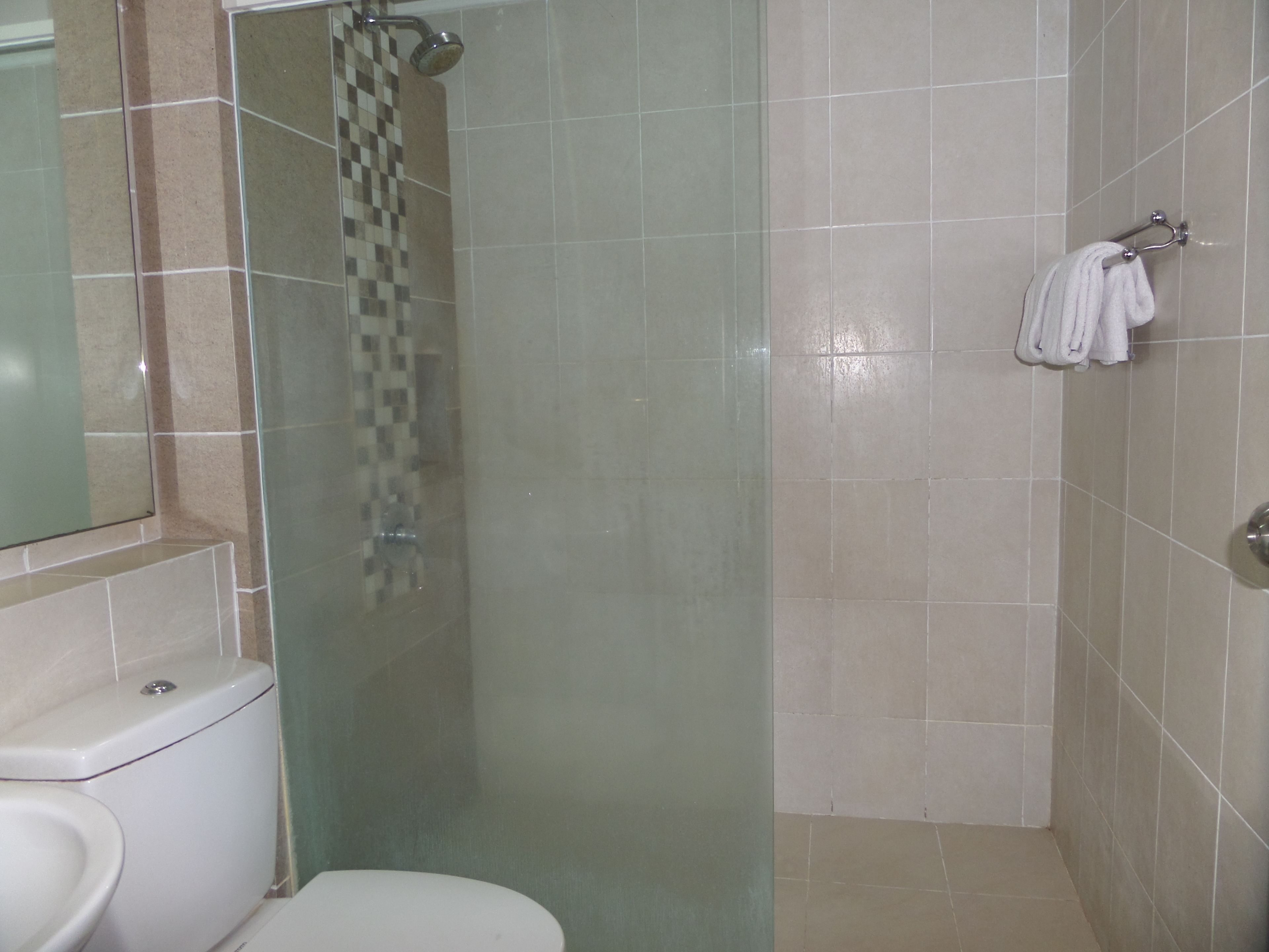 A bathroom with a toilet, a shower with a glass door, and a towel rack on the wall.