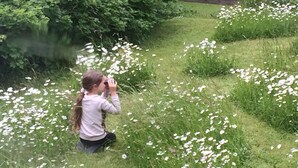 A child looking through binoculars in a grassy area with white flowers. - 400 Year Old Swiss Chalet (Boltigen)
