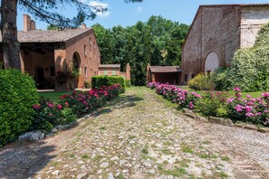 Exterior - Agriturismo Tenuta Castel Venezze (San Martino di Venezze)