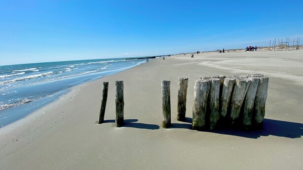 Een zandstrand met houten palen en een helderblauwe lucht.