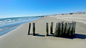 A sandy beach with wooden posts and a clear blue sky. - Agriturismo Tenuta Castel Venezze (San Martino di Venezze)