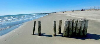 Agriturismo Tenuta Castel Venezze