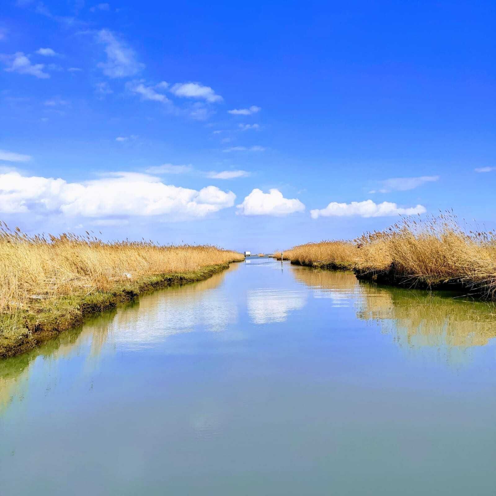 A calm waterway flanked by tall grasses under a clear blue sky.