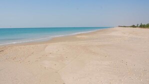 A wide sandy beach with gentle waves, clear skies, and sparse vegetation along the shore. - Ecolodge de Palmarin (Fatick)