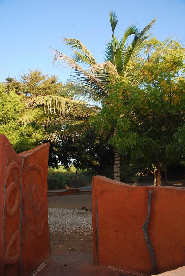 Una puerta rústica con una palmera al fondo.