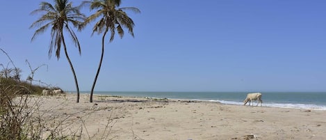 En la playa, kayaks, bote de remos o canoa y pesca 